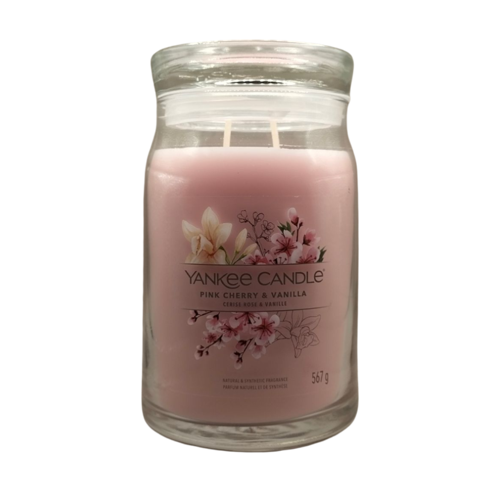 Yankee Candle Praline & Birch